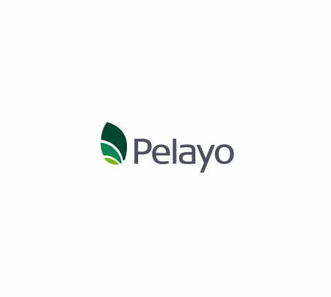 PELAYO AGRONOMÍA